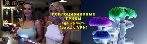 эйфоретик Липки
