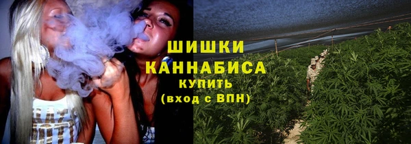 PSILOCYBIN Лихославль